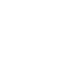 fighters