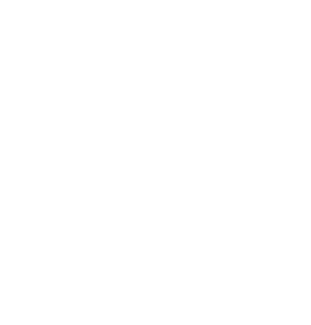 pollack