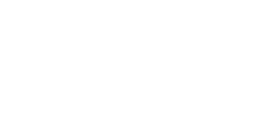 Google Partner